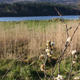 Image for article titled Shooting Challenge: Spring Gallery 2